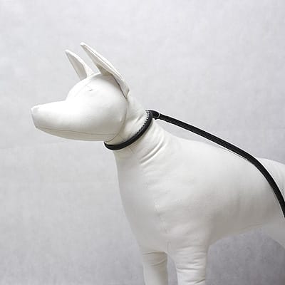 Let's the Dog Out - obrazek 2