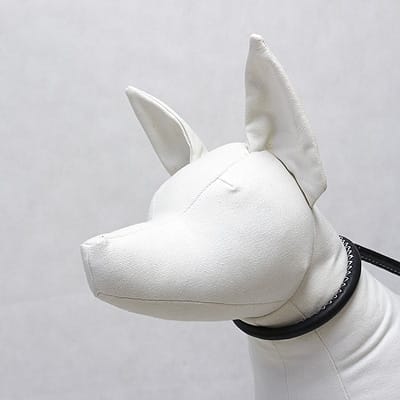 Let's the Dog Out - obrazek 3