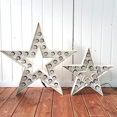 The First White Small Star Regular Bulb #176 - obrazek 5