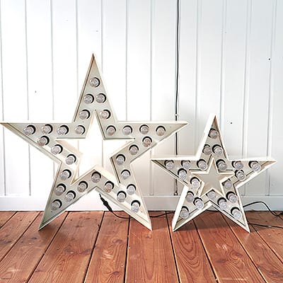The First White Small Star Regular Bulb #176 - obrazek 5